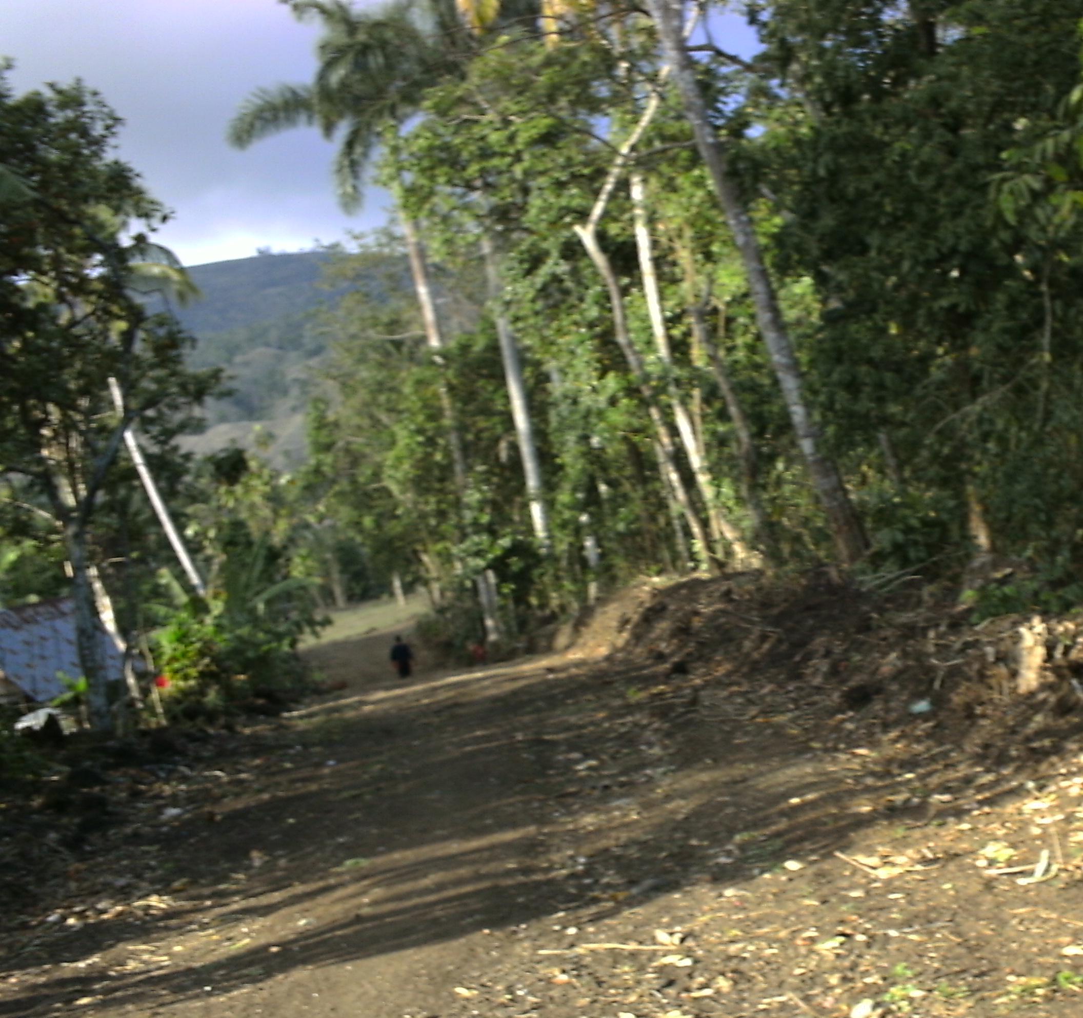 que du bonheur à Fonddesnegres